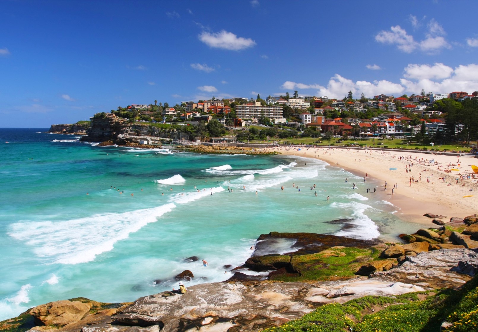 Waverley Council hero image of Bondi